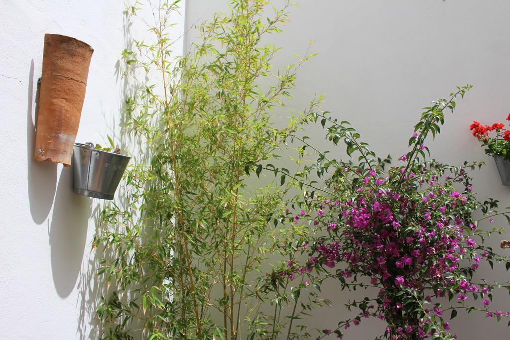 Room Tarifa Hostel Tarifa
